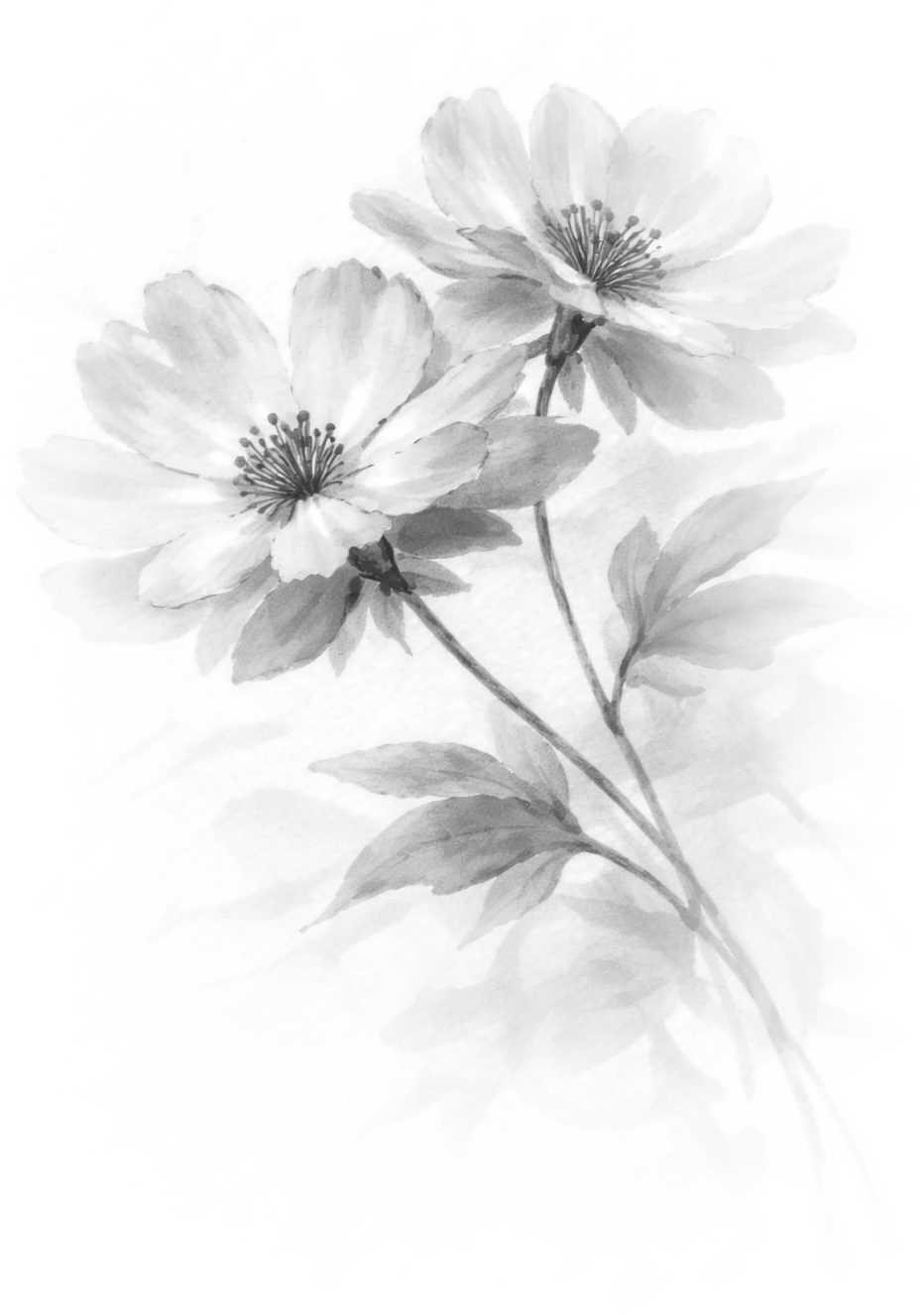 Illustrazione decorativa di fiori in stile inchiostro.