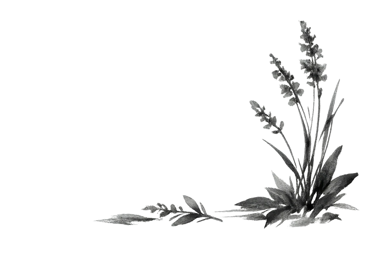 Visual dedicato a integrazioni API e software sanitario.